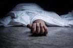 قتل وحشتناک مادربزرگ تنها با مجسمه گچی