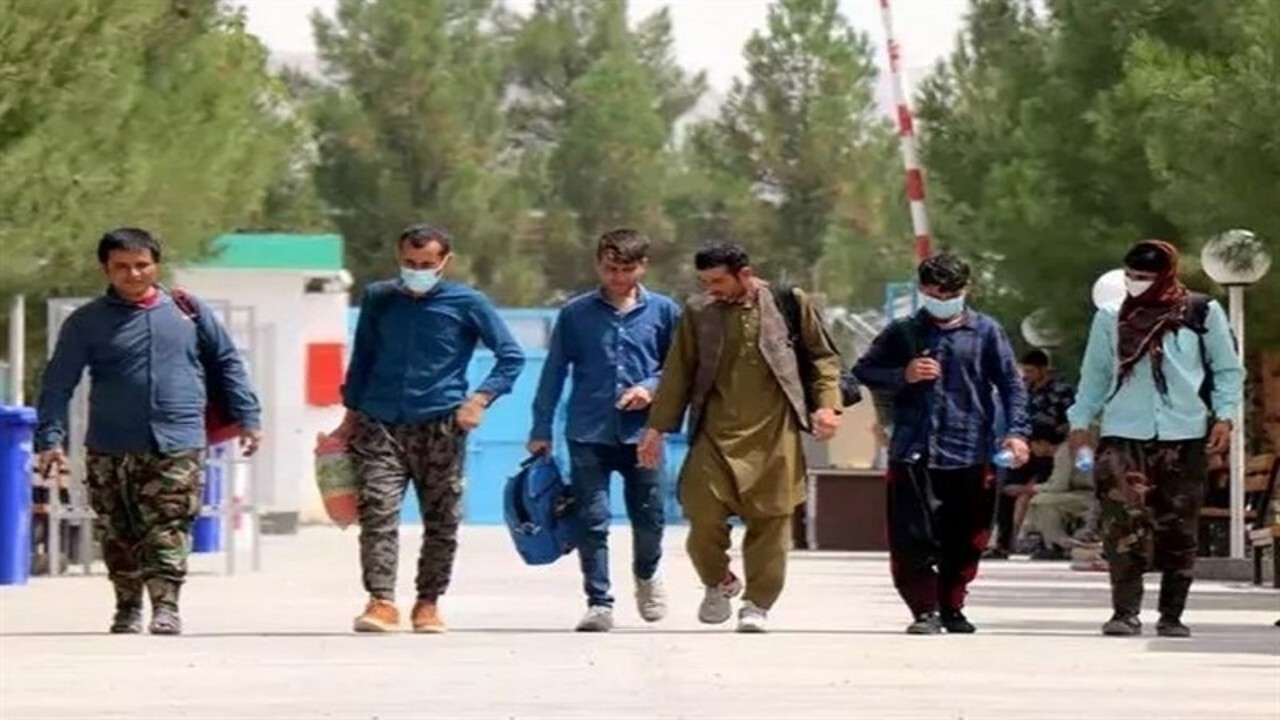 ۸۵ هزار افغانستانی به کشورشان برگشتند