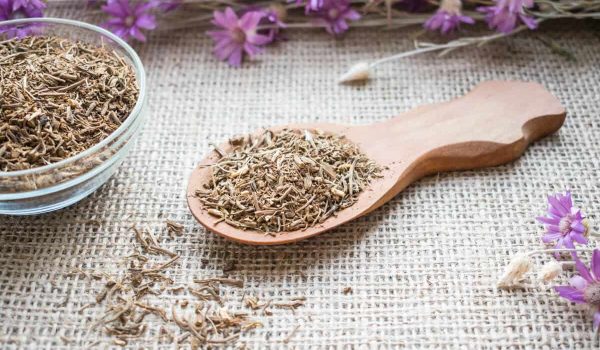 خواص گیاه سنبل الطیب برای مغز