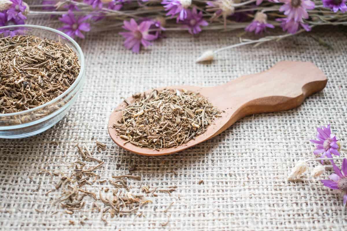 خواص گیاه سنبل الطیب برای مغز